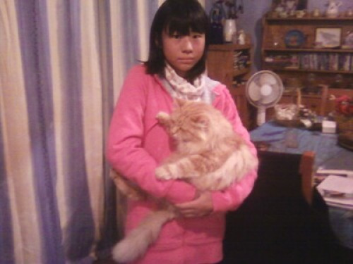 Oasis in the city   - Gallery -  5