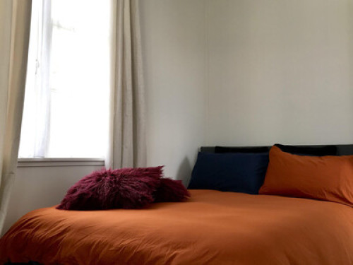 Cozy private room in Auckland - Gallery - 5
