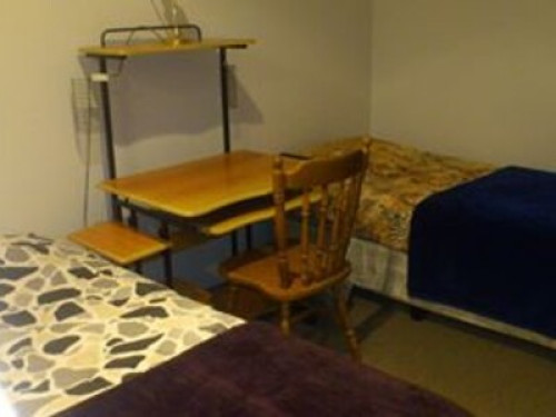 Top Location in Auckland, NZ - Gallery - 5