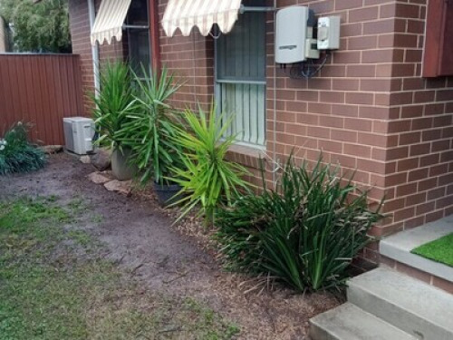  Aussie semi retired, love pets.