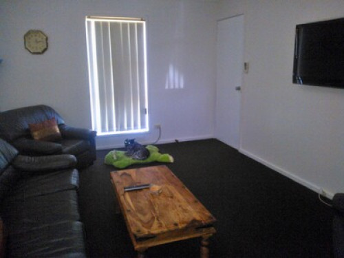  Aussie semi retired, love pets.