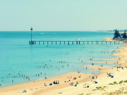 Near city,beach,shops& Universities - Gallery - 34