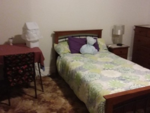 Quiet home, great for study  - Gallery -  5