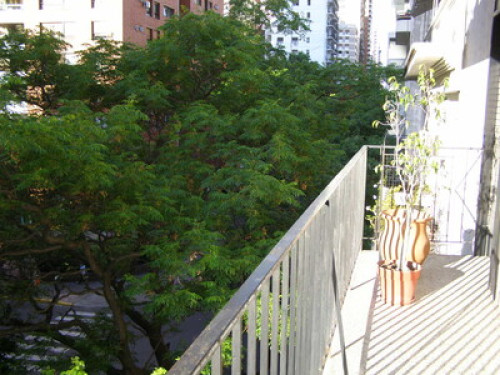 Lover of travel and music