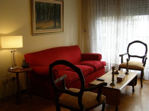 Lover of travel and music