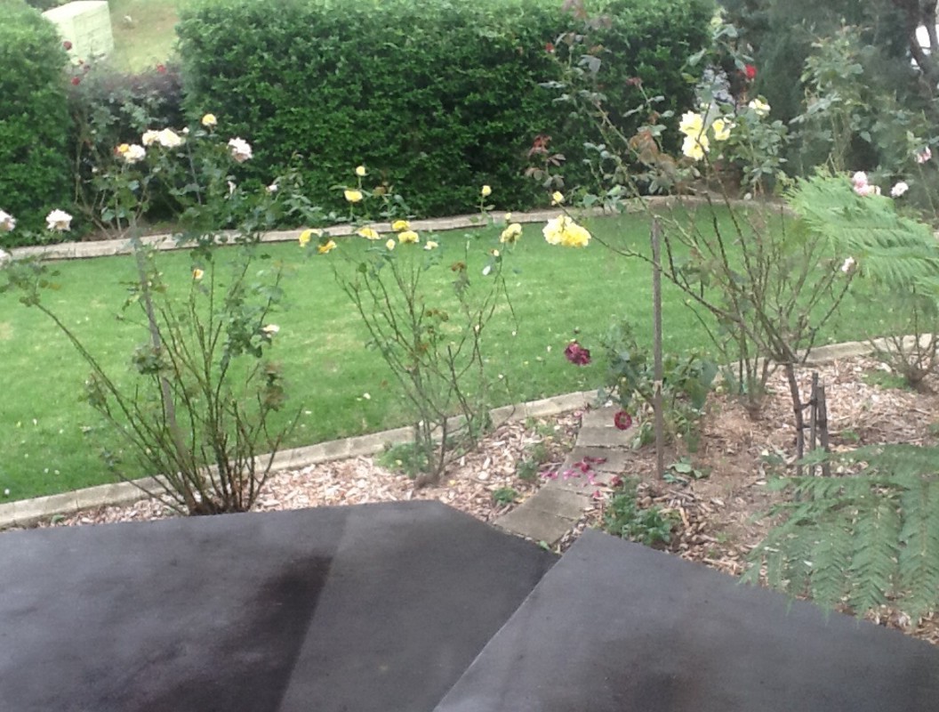 Down Staris, Front Yard View(Full Room) - 1