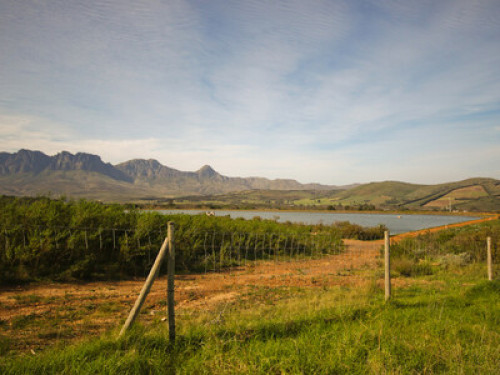 Overlooking nature reserve, secure - Gallery - 7