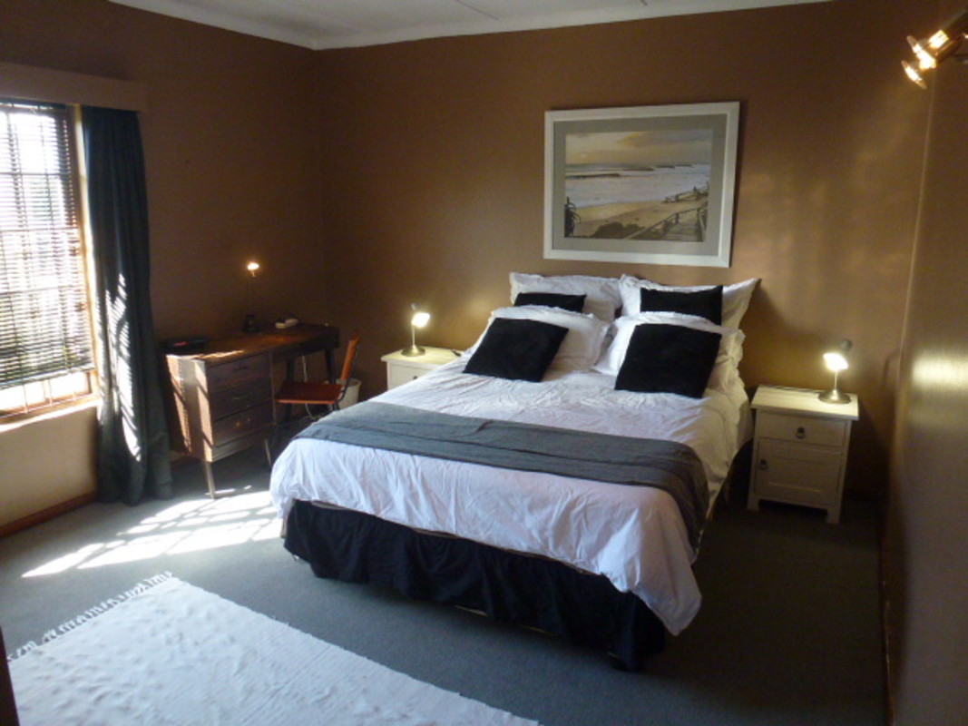 Lion(Single Bed) - 1