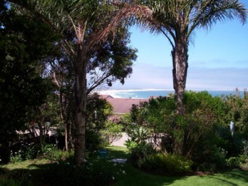 Travel loving host Jeffreys Bay 