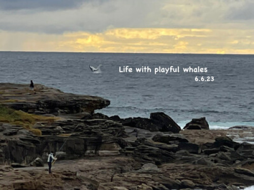by-the-sea-and-unsw-sydney-150109501720240814031857AM