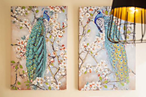 Blue PeacockFaro -Apartment (Available only from October to March)  - Gallery -  5