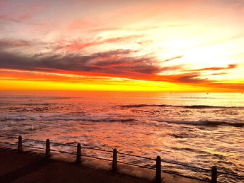 SEA POINT LODGE 
