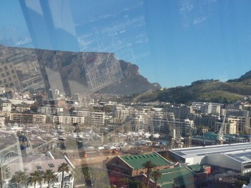 in suburbs of Cape town 