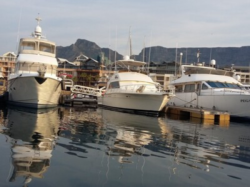 in suburbs of Cape town 