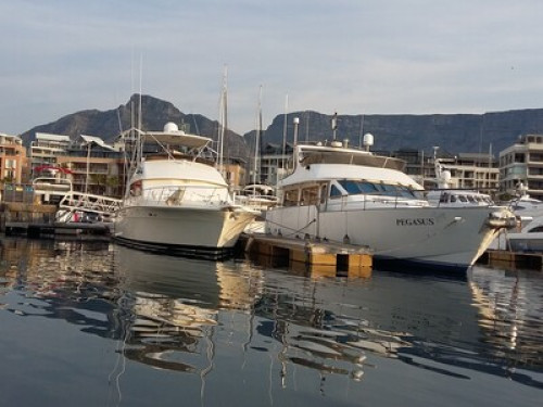 in suburbs of Cape town  - Gallery - 16