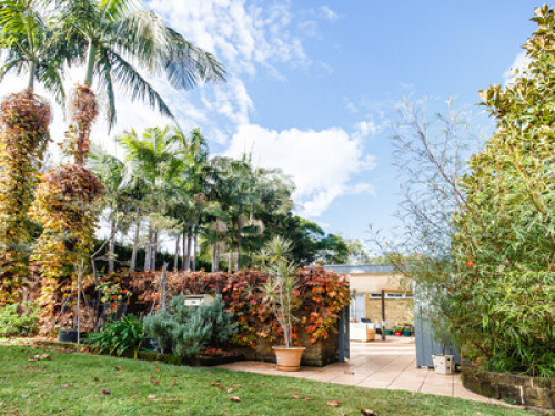relaxed-friendly-family-in-sydney-sydney-177400387920240814033432AM