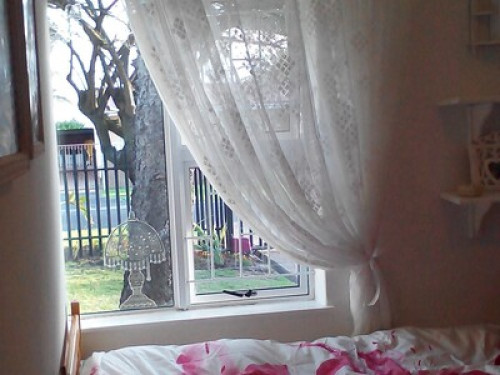 Fantastic stay surrounded by nature  - Gallery - 19