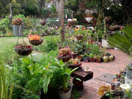 Fantastic stay surrounded by nature  - Gallery - 16