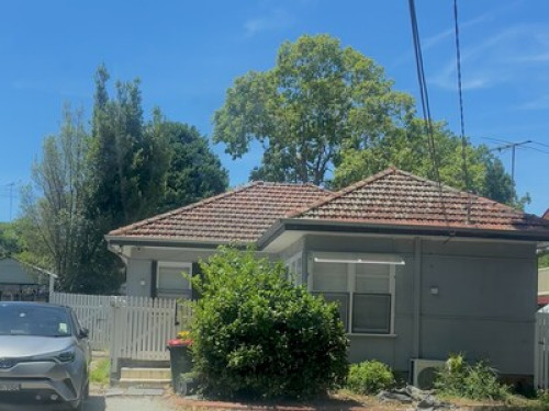 Warm environment and friendly