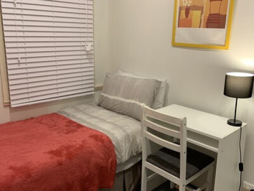 Warm environment and friendly - Gallery - 19