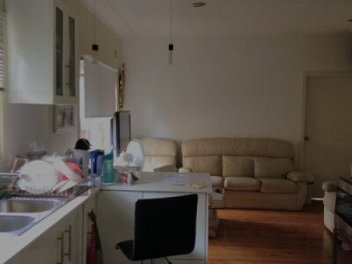Warm environment and friendly  - Gallery -  5