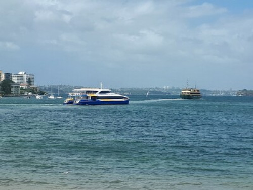 relaxed-friendly-spacious-home-sydney-158104120240814034257AM