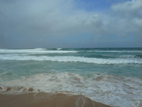 relaxed-friendly-spacious-home-sydney-180261888420240814034230AM