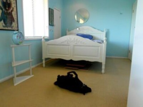 relaxed-friendly-spacious-home-sydney-181281874320240814034214AM