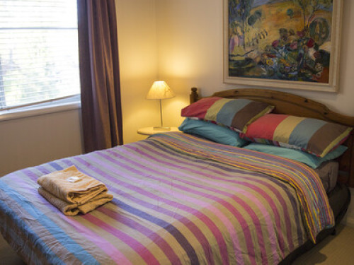 relaxed-friendly-spacious-home-sydney-182324940020240814034211AM