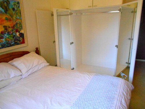 relaxed-friendly-spacious-home-sydney-187821838520240814034213AM