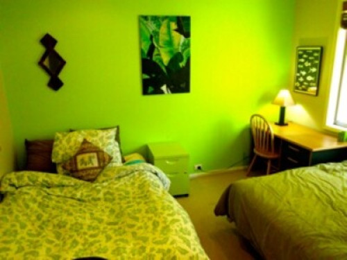 relaxed-friendly-spacious-home-sydney-205413804420240814034213AM