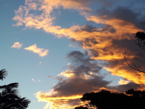 relaxed-friendly-spacious-home-sydney-29511776820240814034255AM