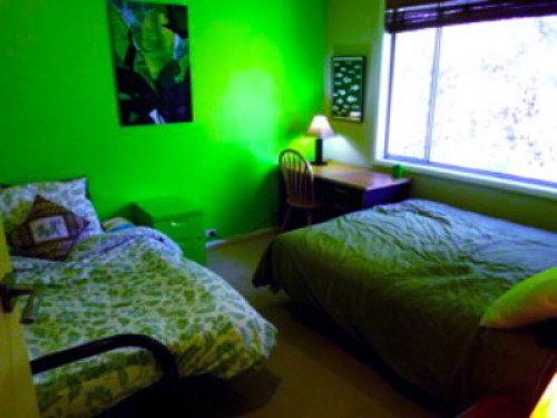 relaxed-friendly-spacious-home-sydney-43033796120240814034215AM