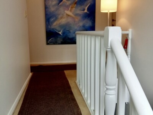 relaxed-friendly-spacious-home-sydney-74960189520241028022504AM