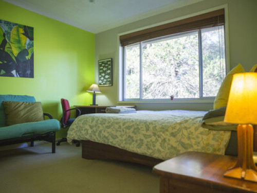 relaxed-friendly-spacious-home-sydney-87226453520240814034301AM