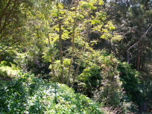 in-touch-with-australian-wildlife-sydney-131681242520240814034439AM