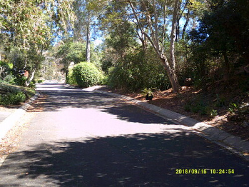 in-touch-with-australian-wildlife-sydney-155750390620240814034554AM
