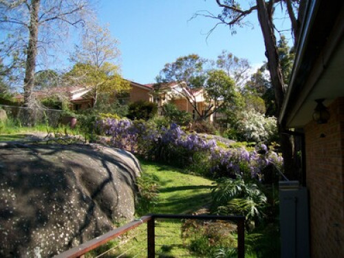in-touch-with-australian-wildlife-sydney-167555314120240814034440AM
