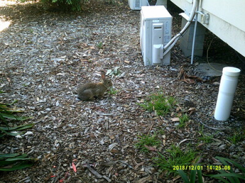 in-touch-with-australian-wildlife-sydney-174445011320240814034613AM