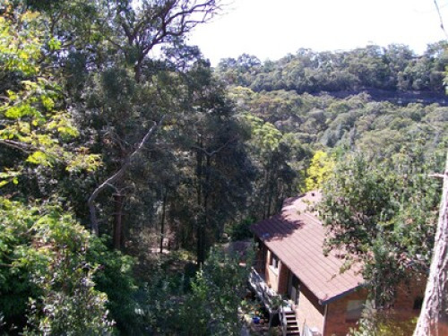 in-touch-with-australian-wildlife-sydney-183226401820240814034445AM