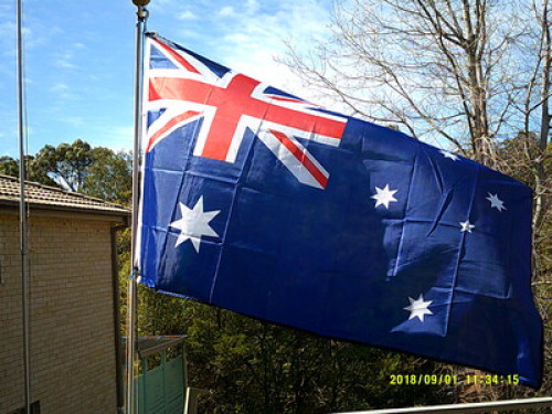 in-touch-with-australian-wildlife-sydney-186918140020240814034612AM