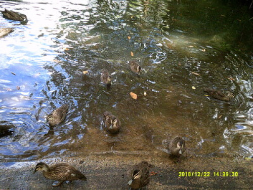in-touch-with-australian-wildlife-sydney-192181655620240814034732AM