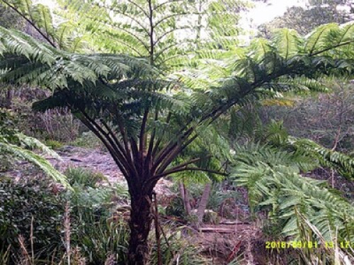 in-touch-with-australian-wildlife-sydney-192312189420240814034731AM