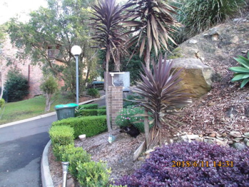 in-touch-with-australian-wildlife-sydney-192712657620240814034501AM