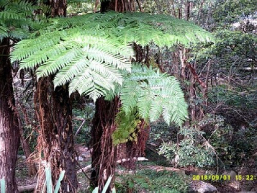 in-touch-with-australian-wildlife-sydney-202370138920240814034729AM