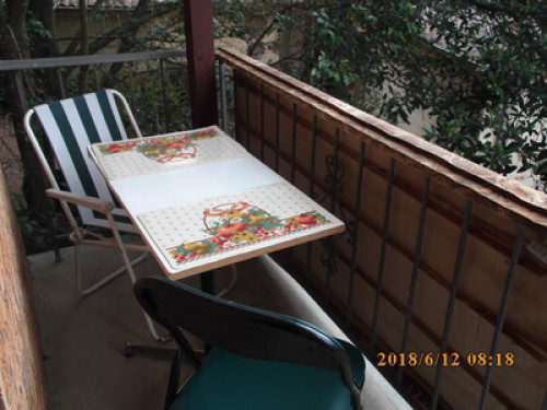 in-touch-with-australian-wildlife-sydney-214430829420240814034457AM