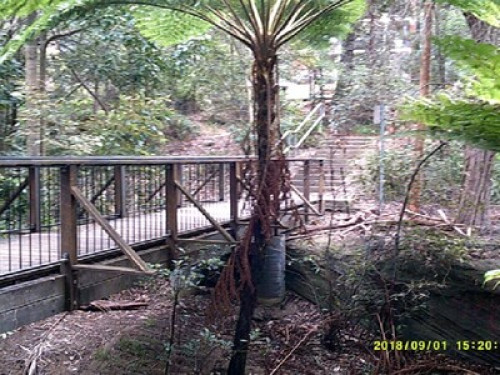 in-touch-with-australian-wildlife-sydney-30551809520240814034727AM