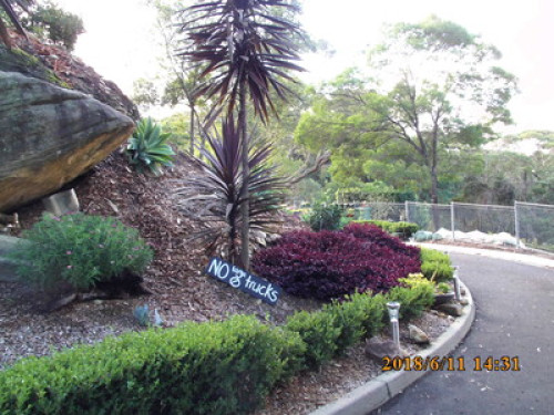 in-touch-with-australian-wildlife-sydney-32366958020240814034503AM