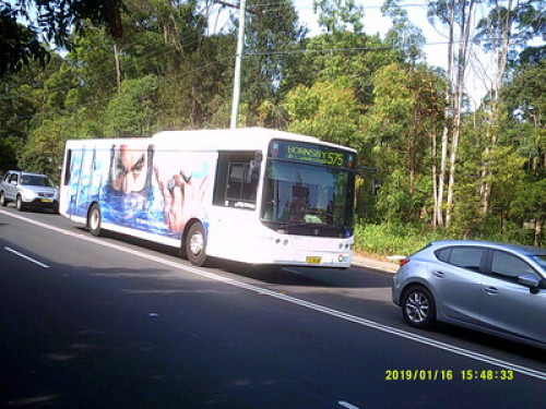 in-touch-with-australian-wildlife-sydney-44182001120240814034723AM