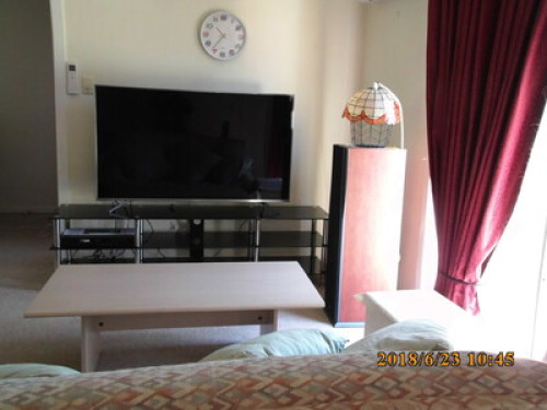 in-touch-with-australian-wildlife-sydney-45221286820240814034530AM